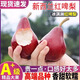 2025現(xiàn)摘紅啤梨紅皮梨啤酒梨子新鮮水果當(dāng)季水果梨子 5斤大果包郵 3斤 單果70-90g