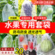 iosn水果套袋專用防鳥(niǎo)罩防蟲(chóng)套袋網(wǎng)罩黃桃套袋網(wǎng)兜梨子桃子蘋果專用 15x10cm（可草莓藍(lán)莓無(wú)花果等） 【20個(gè)裝/防蟲(chóng)防鳥(niǎo)透光透氣】