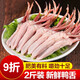 精切鴨舌2斤 新鮮冷凍生鴨舌 鹵肉火鍋燒烤食材 鴨肉生鮮 鴨舌 2斤