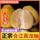 【送貨上門】合江真龍柚四川瀘州特產(chǎn)真龍柚子新鮮現(xiàn)摘當(dāng)季沙田柚 【活動沖銷量】5個（約9斤）嘗鮮特惠