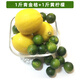 果齋園 青金桔黃檸檬組合1000g   新鮮金桔檸檬水果  奶茶專用水果 青金桔黃檸檬2斤裝 發(fā)圓通