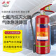 浙安七氟丙烷滅火器手提式懸掛式柜式潔凈氣體滅火器2/3/4kg無(wú)殘留機房檔案室滅火裝置 （4kg）手提式七氟丙烷滅火器