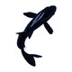 錦鯉魚(yú)金魚(yú)活魚(yú)黃金鯉黑錦鯉紅色魚(yú)白錦鯉小型耐活好養冷水蝴蝶鯉 8-10黑魔碟錦鯉5條