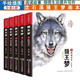 狼王夢(mèng)沈石溪畫(huà)本完整版 全套5冊?xún)和膶W(xué)漫畫(huà)故事書(shū)動(dòng)物小說(shuō)小學(xué)生三四五六年級課外閱讀書(shū)籍沈石溪系列
