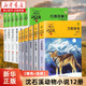 沈石溪動(dòng)物小說(shuō)全套全集品藏書(shū)系 狼王夢(mèng)斑羚飛渡最后一頭戰象等兒童文學(xué)課外書(shū) 沈石溪動(dòng)物小說(shuō)全套全集36冊 【橙色+淺綠】沈石溪動(dòng)物小說(shuō)12冊