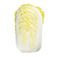 【高原夏菜】黃心大娃娃菜600g