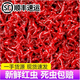 畫(huà)魚(yú)紅蟲(chóng)活餌釣魚(yú)餌特大公蟲(chóng)活體秋冬野釣鯽魚(yú)餌料喂魚(yú)魚(yú)食 100g中小蟲(chóng)【喂魚(yú)或拉餌】工具包