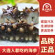 漁公碼頭大連底播海參 即食海參 鮮食海參 遼刺參 開袋即食 海鮮水產 7A 2000g