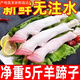 羊蹄原切 農(nóng)家羔羊山羊蹄 帶筋大號羊蹄肉批發(fā)飯店鹵燉羊蹄2-20斤 散養(yǎng)羊蹄【2斤】
