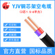 國超電纜YJV-0.6/1KV-2*6銅芯國標架空戶(hù)外防老化2芯電力電纜 1米【現貨】