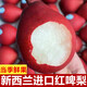 灃御園新西蘭紅啤梨 紅寶石梨脆嫩多汁花香味梨子 當(dāng)季時令新鮮水果 2斤精品裝