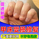 指甲生長(zhǎng)液甲床快速生長(zhǎng)指甲營(yíng)養(yǎng)液指甲修復(fù)受損變硬護(hù)甲油營(yíng)養(yǎng)液 一瓶裝【促進(jìn)新甲】