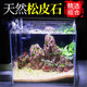 森森（SUNSUN）魚(yú)缸造景石假山天然松皮石多孔草缸造景套餐 7塊裝松皮石 適合38-60cm長(cháng)的缸