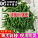 辰實(shí)【現摘發(fā)順豐】皺皮辣椒 特辣 新鮮薄皮辣椒 特辣青辣椒 5斤（劃算）