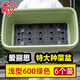 愛(ài)麗思（IRIS）種植盆菜盆陽(yáng)臺大花盆特大號樹(shù)脂長(cháng)方形種菜盆蔬菜種植箱園藝整箱 【6個(gè)裝】淺型600綠色