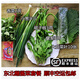 曠古農(nóng)業(yè)東北特產(chǎn)包菜飯包套餐 新鮮蘸醬菜蔬菜 大綠白菜葉子 新鮮蔬菜 10菜葉+臭菜香菜辣椒各3兩蔥半斤