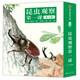 昆蟲(chóng)觀(guān)察第一課（全10冊）兒童繪本3-8歲自然科普童書(shū)小學(xué)生課外閱讀書(shū)籍