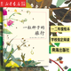 新華書(shū)店正版一粒種子的旅行(精)少兒繪本兒童圖畫(huà)故事書(shū)小學(xué)生基礎閱讀書(shū)目一二年級繪本青少年科普書(shū)