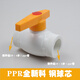唄硶PPR鋼芯球閥雙頭活接閥門熱熔水管配件銅截止閥4分206分251寸32 20(4分)ppr鋼芯球閥