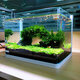 森森 超白玻璃小魚缸HRK-500套缸款(長50cm)熱彎玻璃+過濾器+水草燈
