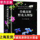 青藏高原野花大圖鑒（精裝） 牛洋 重慶大學(xué)出版社 賞植物和壯美的自然景觀(guān) 青藏高原野花的識別圖鑒 植
