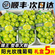 蕊鮮生順豐 陽(yáng)光玫瑰葡萄 5斤新鮮禮盒晴王水果青香印提子特產(chǎn)時(shí)令生鮮 1斤 爆甜大果 一級果【普快】