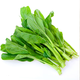 綠食者新鮮小芥蘭 新鮮蔬菜 小芥藍(lán) 中花芥蘭 500g 1斤