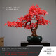 樸記 迎客松仿真盆景擺件客廳工藝品招財假綠植盆栽玄關(guān)電視柜辦公室創(chuàng  )意中式裝飾品 圓盆雨花石且合-紅楓葉