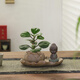 八芽盆栽小盼菩提樹植物室內(nèi)禪意盆景辦公室桌面好養(yǎng)綠植源頭直發(fā)包郵 蓮花盆菩提（禪坐菩薩套裝）