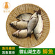 貓撲魚(yú)（mao pu yu）微山湖生態(tài)鯽魚(yú)(凈膛) 淡水魚(yú)現捕現殺 生鮮 老人孕產(chǎn)婦燉湯 三斤大號鯽魚(yú)（每斤2-3條）