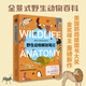 野生動物解剖筆記 全景圖說野生動物百科中小學(xué)生科普讀物 500幅精細(xì)的科學(xué)手繪插圖 圖書