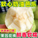 粵迎廣西白心芭樂軟糯黃金奶油芭樂新鮮冰激凌番石榴果園現(xiàn)摘現(xiàn)發(fā)新鮮 凈2.5-3斤白心芭樂【單果110g+】