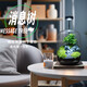 丘辰生命之樹(shù)青苔蘚微景觀(guān)生態(tài)瓶DIY辦公室內桌面綠植造景觀(guān)擺件禮物 消息樹(shù)