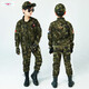 赤尹國潮童裝兒童迷彩服男童套裝秋冬裝小學(xué)生軍訓(xùn)練服男孩衣服拉鏈衫 軍綠（兩件套：上衣+褲子） 130碼（建議身高1.2米左右）