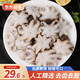 鮮漁翁小八爪魚冷凍500g迷你小章魚八帶去齒去內(nèi)臟1斤海鮮軟足類食材 500g