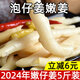 梓滋味 泡姜嫩姜泡姜商用生姜腌制酸辣泡子姜泡嫩姜泡菜四川正宗特產(chǎn) 精選5斤（15斤中挑選精品）