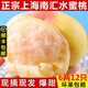 現(xiàn)貨 順豐直發(fā) 現(xiàn)摘南匯水蜜桃上海大團蜜露桃子6兩12個裝當季特產(chǎn)新鮮水果 壞果包賠 6兩左右 3600g