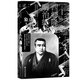 索恩叢書(shū)·西鄉隆盛與明治維新