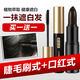 仙女湖口紅式染發(fā)筆天然植物持久遮蓋白發(fā)一次性不易掉色老人染發(fā)棒 睫毛刷式+口紅式（黑色）