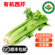 【順豐】有機水果西芹 云南高原榨汁出汁率高 新鮮無農(nóng)殘有機 5斤