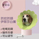 寵星記 小型犬 幼犬 貓咪 伊麗莎白圈 防抓咬 絕育防舔項圈 小號 綠色（脖圍18.5-22cm)