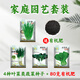 鳳鳴雅世秋季菜籽四季耐寒菜種子大全送80克有機(jī)肥4種葉菜類蔬菜種子套裝
