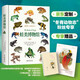 蛙類(lèi)博物館 京東專(zhuān)享贈品（古爾德手繪極樂(lè )鳥(niǎo)高清大圖+博物手賬）蛙類(lèi)博物大百科 自然博物館叢書(shū)  博物文庫