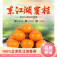 湖南東江湖清江蜜桔新鮮特早熟時(shí)令水果無(wú)籽青皮橘子現摘現發(fā)蜜橘 10斤單果100-150g 精品蜜橘-30年老樹(shù)果 果皮微黃