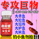 魚(yú)誘釣巨物專(zhuān)用餌血蠶蛹新型釣魚(yú)餌料海竿磯筏釣巨物黑坑野釣海釣餌料 三瓶【買(mǎi)二送一】上一條就是賺