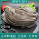 新鮮不泡發(fā)無添加毛肚牛百葉帶底板生鮮大片千層心管黃喉火鍋食材 3斤裝牛百葉【損耗50克上下】