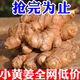 農(nóng)家自種小黃姜新鮮現(xiàn)挖生姜月子姜土姜食用時蔬菜整箱新鮮大肉姜 剩3單[現(xiàn)挖現(xiàn)挖]活動僅剩00:48 1g 精選現(xiàn)挖現(xiàn)發(fā)[5斤精選]夠吃2個