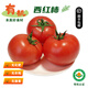 【順豐】有機西紅柿自然熟 普羅旺斯生鮮蔬菜 新鮮當季有機食品 5斤 家庭裝