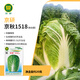 京研大白菜種子娃娃菜紹菜春秋播青麻葉奶白菜種籽大全農(nóng)科院蔬菜籽孑 京秋1518 20克