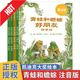青蛙和蟾蜍好朋友注音版全套4冊快樂時光 年年 京倉直發(fā) 青蛙和與蟾蜍好朋友信誼繪本系列小學生一二三年級課外書兒童文學兒童禮物圖書男孩女孩 青蛙和蟾蜍好朋友注音版全4冊【普通快遞】